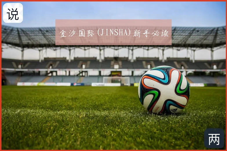 金沙国际(JINSHA)新手必读